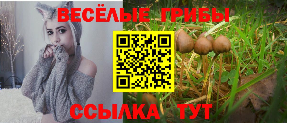 Озёры  Галлюциногенные грибы Magic Shrooms  Вход с VPN 